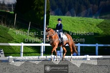 ref. photo 3555828