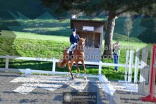ref. photo 3555833