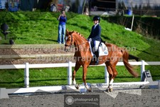 ref. photo 3555835