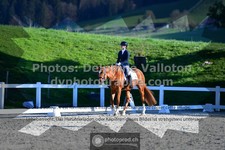 ref. photo 3555839