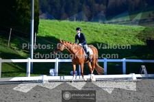 ref. photo 3555840