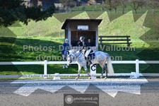 ref. photo 3555844