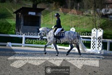 ref. photo 3555849