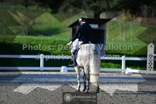 ref. photo 3555851