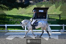 ref. photo 3555854