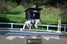 ref. photo 3555858