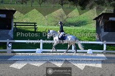 ref. photo 3555869