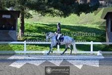 ref. photo 3555870