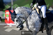 ref. photo 3555879