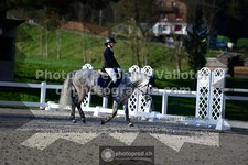ref. photo 3555880