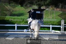 ref. photo 3555885