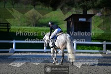 ref. photo 3555886