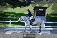 ref. photo 3555887