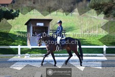 ref. photo 3555906