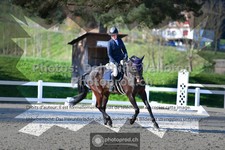 ref. photo 3555919