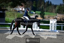 ref. photo 3555926