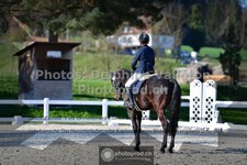 ref. photo 3555930