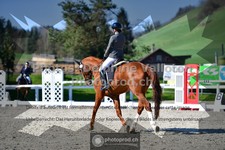 ref. photo 3555942