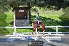 ref. photo 3555944