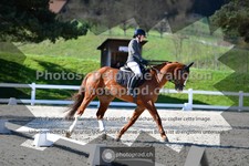 ref. photo 3555945