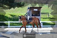 ref. photo 3555947