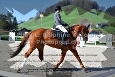 ref. photo 3555948