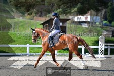 ref. photo 3555950
