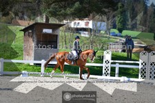 ref. photo 3555951
