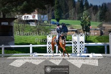 ref. photo 3555960