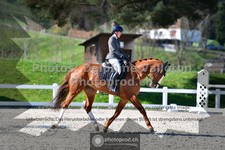 ref. photo 3555966