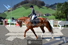 ref. photo 3555969