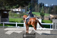 ref. photo 3555976