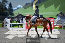 ref. photo 3555987