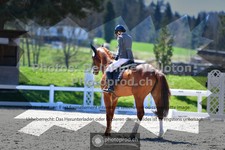 ref. photo 3555988