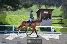 ref. photo 3555990