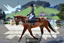 ref. photo 3555996
