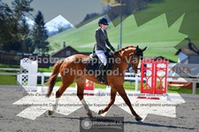 ref. photo 3555997