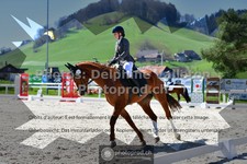 ref. photo 3555998
