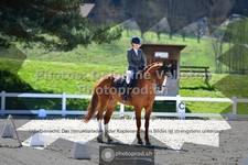 ref. photo 3556000