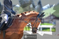 ref. photo 3556001