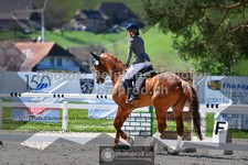 ref. photo 3556002