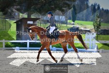 ref. photo 3556004
