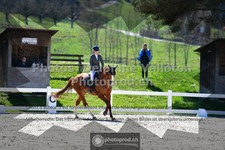 ref. photo 3556005