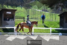 ref. photo 3556006