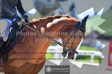 ref. photo 3556008
