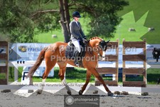 ref. photo 3556010