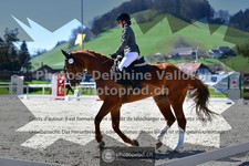ref. photo 3556011