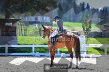 ref. photo 3556014