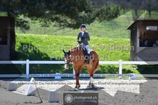 ref. photo 3556015