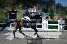 ref. photo 3556018